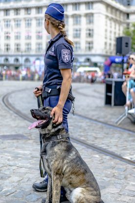 En collaboration avec la Police Fédérale belge